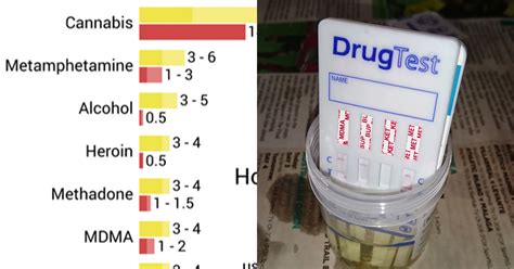 does hardees drug test 2017|hardee's drug testing questions.